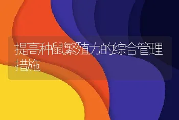 提高种鼠繁殖力的综合管理措施