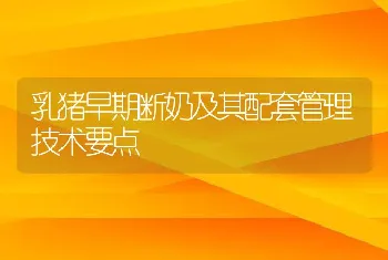 乳猪早期断奶及其配套管理技术要点