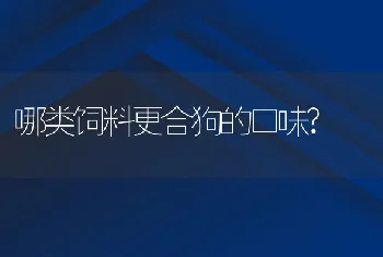 哪类饲料更合狗的口味?