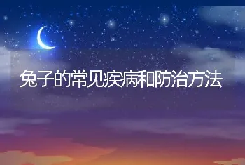 兔子的常见疾病和防治方法