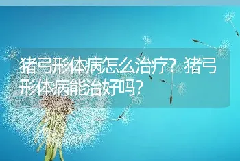 猪弓形体病怎么治疗？猪弓形体病能治好吗？