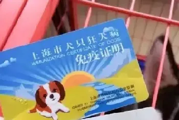 全面打狗是假，注射疫苗、办养犬证是真！