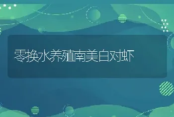 零换水养殖南美白对虾