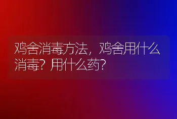 鸡舍消毒方法，鸡舍用什么消毒？用什么药？