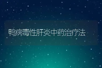 鸭病毒性肝炎中药治疗法