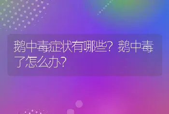 鹅中毒症状有哪些？鹅中毒了怎么办？