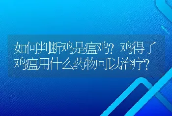 如何判断鸡是瘟鸡？鸡得了鸡瘟用什么药物可以治疗？