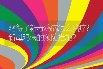 鸡得了新母鸡病怎么治疗?新母鸡病的预防措施？