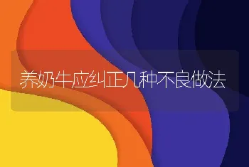 养奶牛应纠正几种不良做法