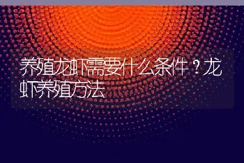 养殖龙虾需要什么条件？龙虾养殖方法