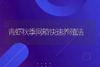 青虾秋季网箱快速养殖法