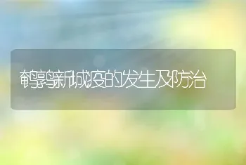 鹌鹑新城疫的发生及防治