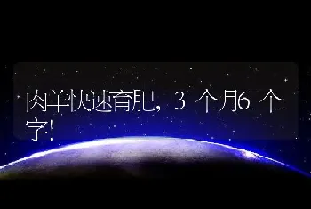 肉羊快速育肥，3个月6个字!