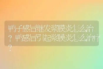 鸭子感冒继发浆膜炎怎么治？鸭感冒引起浆膜炎怎么治疗？