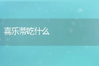 喜乐蒂吃什么