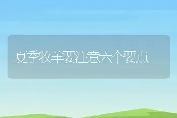 夏季牧羊要注意六个要点