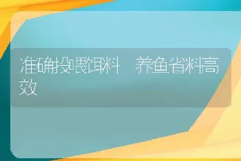 准确投喂饵料 养鱼省料高效