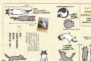 《猫奴必懂的100个喵喵秘密》图书介绍