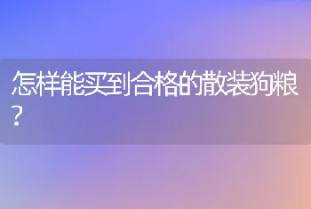 怎样能买到合格的散装狗粮?