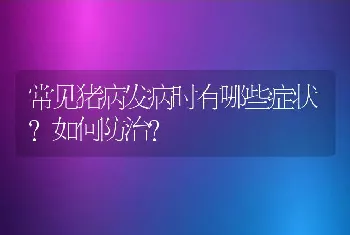 常见猪病发病时有哪些症状？如何防治？