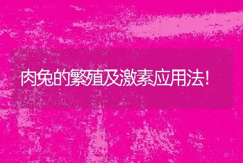 肉兔的繁殖及激素应用法！