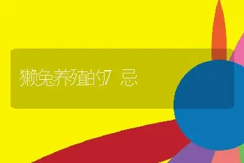 獭兔养殖的7忌