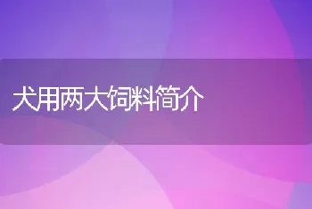 犬用两大饲料简介