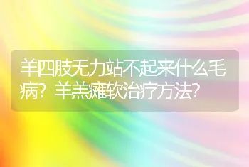 羊四肢无力站不起来什么毛病？羊羔瘫软治疗方法？