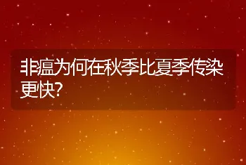 非瘟为何在秋季比夏季传染更快？