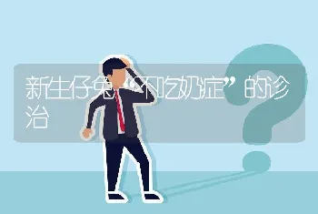 新生仔兔“不吃奶症”的诊治