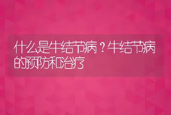 什么是牛结节病？牛结节病的预防和治疗