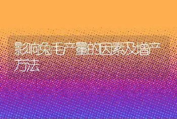 影响兔毛产量的因素及增产方法