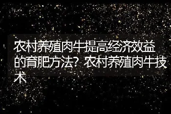 农村养殖肉牛提高经济效益的育肥方法？农村养殖肉牛技术