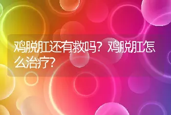 鸡脱肛还有救吗？鸡脱肛怎么治疗？