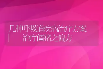 几种呼吸道疾病治疗方案 | 治疗僵猪之偏方