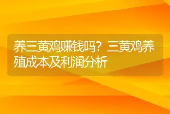 养三黄鸡赚钱吗？三黄鸡养殖成本及利润分析