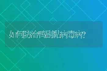 如何防治鸭副黏病毒病？