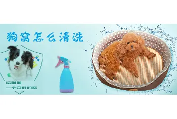 狗窝怎么清洗