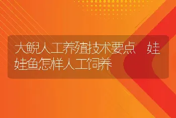 大鲵人工养殖技术要点　娃娃鱼怎样人工饲养