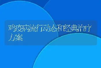 鸡疫病流行动态和经典治疗方案