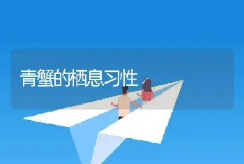 青蟹的栖息习性