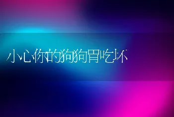 小心你的狗狗胃吃坏