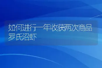 如何进行一年收获两次商品罗氏沼虾