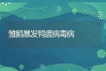 雏鹅暴发鸭瘟病毒病