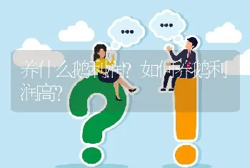 养什么鹅利润？如何养鹅利润高？