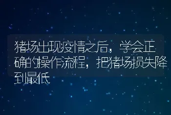 猪场出现疫情之后，学会正确的操作流程，把猪场损失降到最低