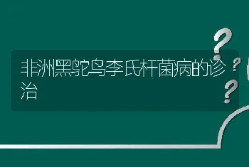 非洲黑鸵鸟李氏杆菌病的诊治