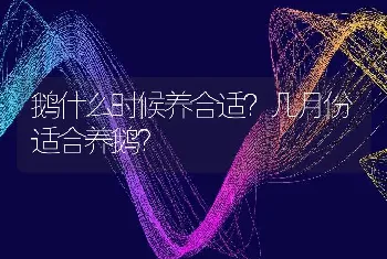 鹅什么时候养合适？几月份适合养鹅？