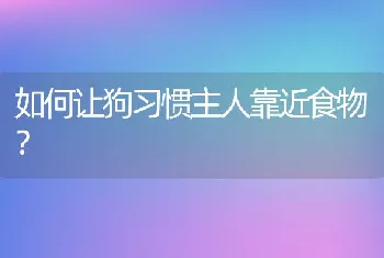 如何让狗习惯主人靠近食物？