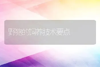 野狍的饲养技术要点